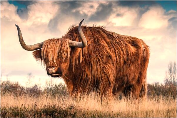 夢到海邊石壁會是什麼預兆_周公解夢官網