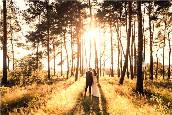 夢到了蓮花白里長了好多蛆是什麼意思？_周公解夢官網