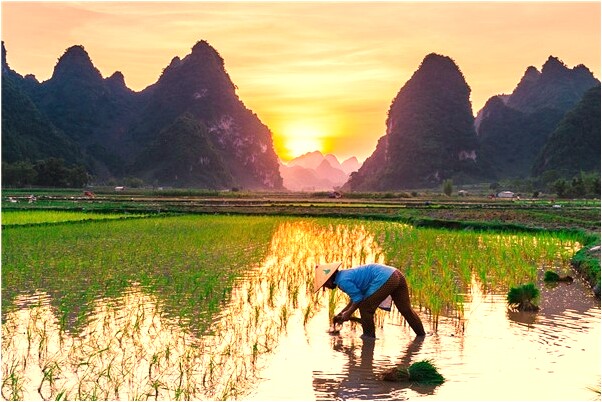 夢到去世的老姑還活著是凶兆還是吉兆_周公解夢官網