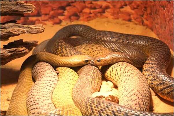 夢到自己抓泥堵住溝里淌水是好的徵兆嗎_周公解夢官網