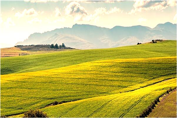 夢到水流沒過去是什麼預兆_周公解夢官網