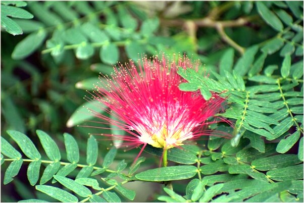 夢到我送表姐去還別人錢怎么回事_周公解夢官網