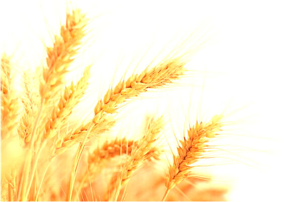 夢見別人留巨額遺產給我是凶兆還是吉兆_周公解夢官網