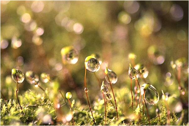 夢到了河裡有很多鴨蛋是吉兆嗎?_周公解夢官網