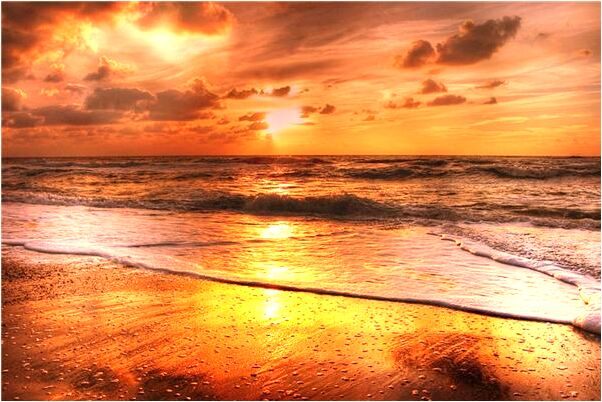 夢到了撿了好多菌菇預兆了什麼嗎_周公解夢官網