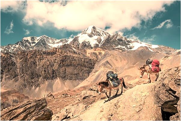 夢到老炮有外遇什麼寓意_周公解夢官網