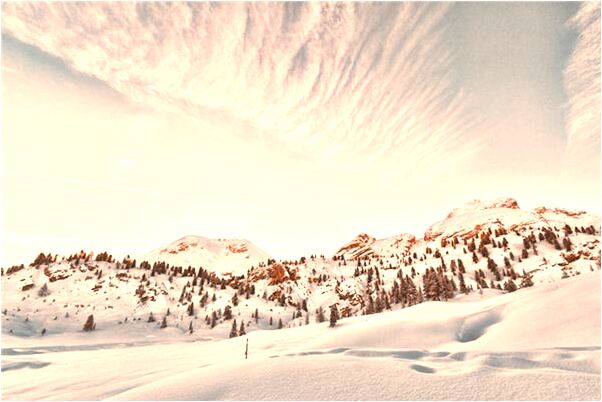 夢到了以前的同事及領導什麼預兆_周公解夢官網