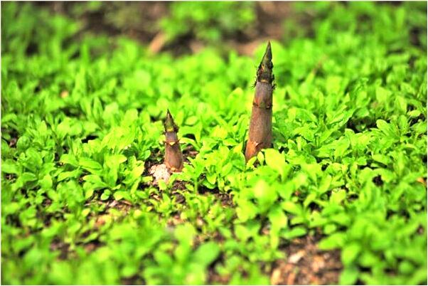 夢到了殘破的地下室代表著什麼_周公解夢官網