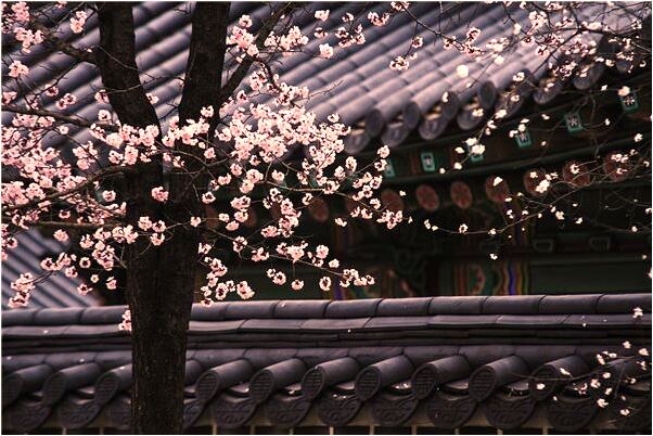 夢到監獄裡的人找我會是什麼預兆_周公解夢官網