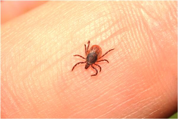 夢到騎腳踏車走下坡路是什麼徵兆_周公解夢官網