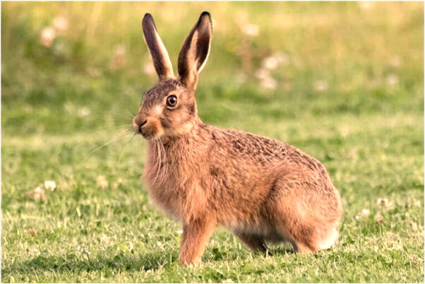 夢見抓住一個男人的手什麼寓意_周公解夢官網