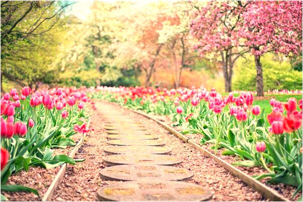 夢見兒子來身邊睡意味著什麼_周公解夢官網