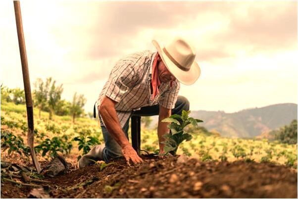 夢見不認識的貴會有什麼預兆_周公解夢官網
