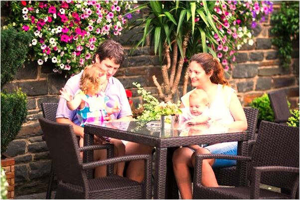 夢到咖啡色的狗跟著我回家是凶兆還是吉兆_周公解夢官網