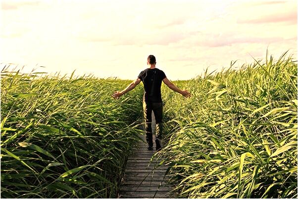 夢到多人在水中怎么回事_周公解夢官網