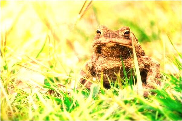 夢到了親戚朋友勸自己與男友分手有什麼寓意嗎_周公解夢官網