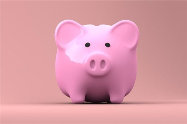 1971年出生的人屬什麼_十二生肖