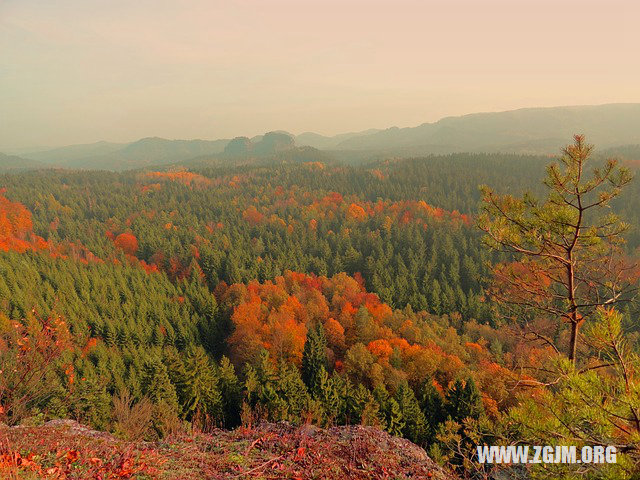 夢見玩老虎機贏錢_周公解夢夢到玩老虎機贏錢是什麼意思_做夢夢見玩老虎機贏錢好不好_周公解夢官網