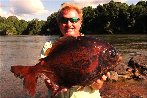 夢到了自己作愛是好事還是壞事_周公解夢官網