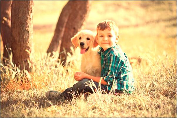 夢到了我媽媽剩下一人人頭有什麼寓意嗎？_周公解夢官網