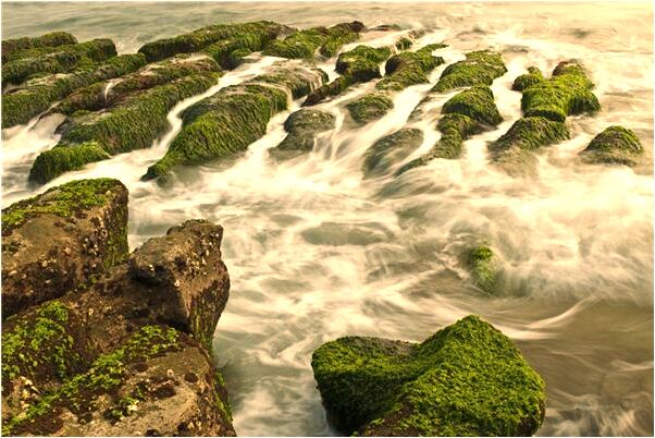 夢到未婚產子預示什麼_周公解夢官網