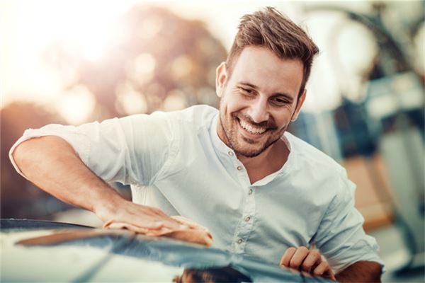 1991年屬羊的五行_十二生肖