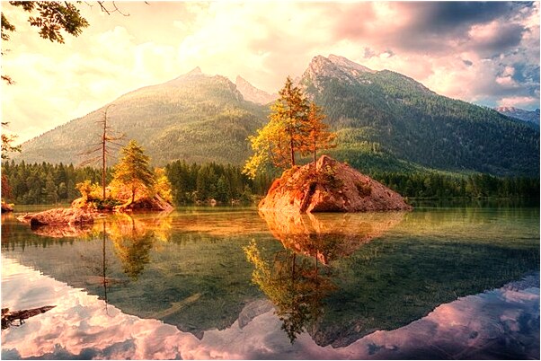 夢見抓了好多的鯉魚什麼預兆_周公解夢官網