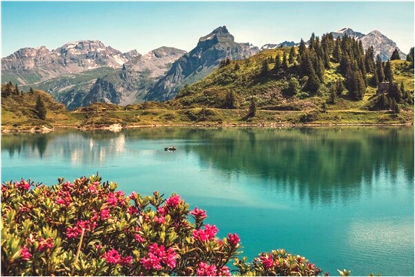 夢到一個見朋友抱男嬰預示什麼_周公解夢官網