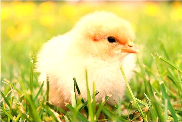 夢見女人一夜幾次滿足啊意味著什麼_周公解夢官網