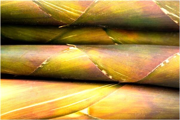 夢到兒子走失復得是什麼預兆_周公解夢官網