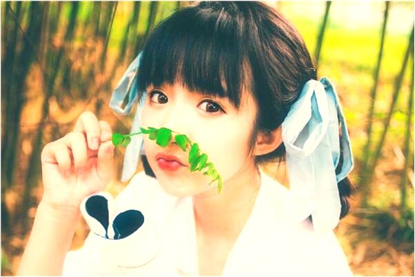 夢見狗用馬桶拉屎是凶兆還是吉兆_周公解夢官網