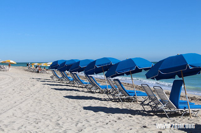 夢見蒼蠅滿屋飛_周公解夢夢到蒼蠅滿屋飛是什麼意思_做夢夢見蒼蠅滿屋飛好不好_周公解夢官網