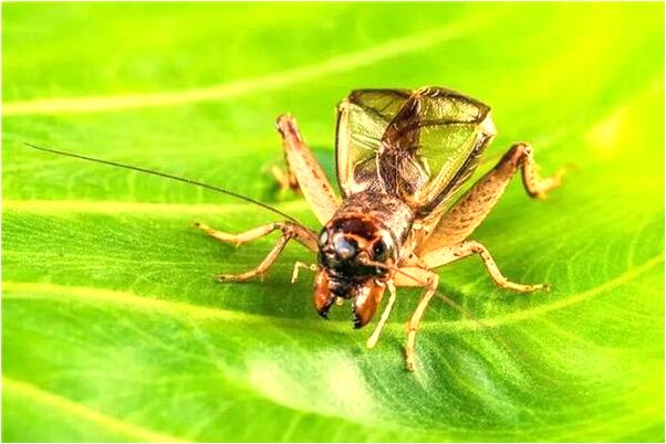 夢到自己在爬山是什麼意思_周公解夢官網