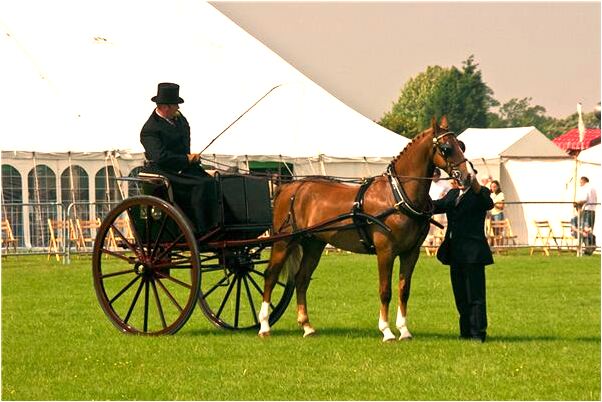 夢見跟曾經同學一起在學校上課是什麼意思_周公解夢官網