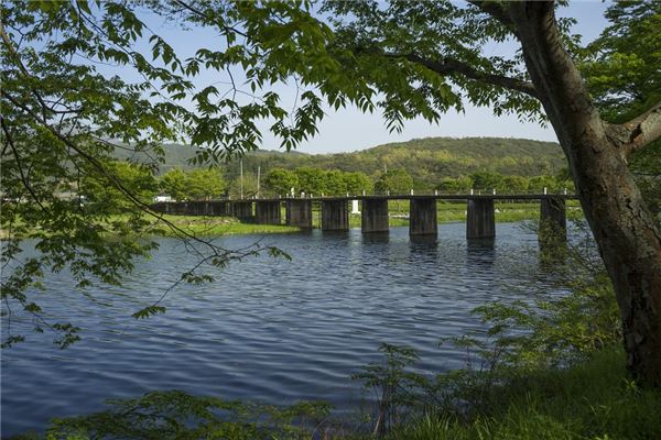 夢到了河水很深是怎麼回事_周公解夢