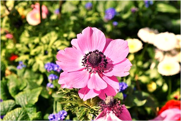 夢到了自己掉下水道會怎么樣_周公解夢官網