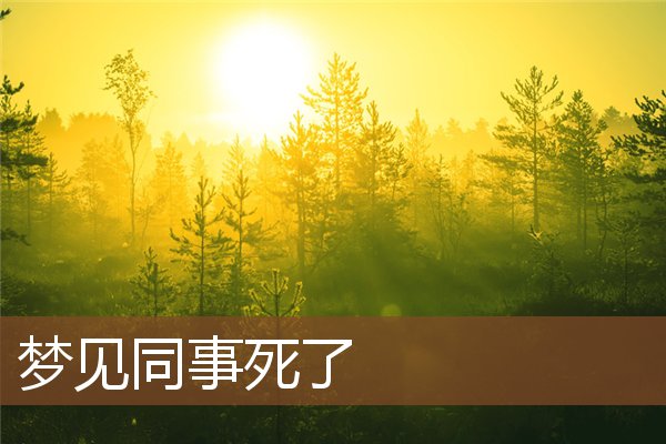 夢見同事死了_周公解夢