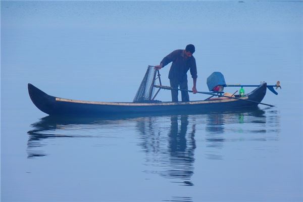 夢到在河裡抓魚_周公解夢