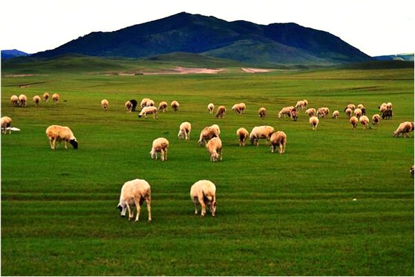 夢見傷害過自己的人意味什麼_周公解夢官網