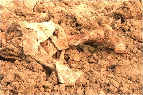 夢見自己因想念去世的母親而哭有什麼預示嗎_周公解夢官網