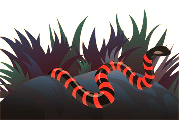 夢到了買不到返程票會是什麼預兆_周公解夢官網