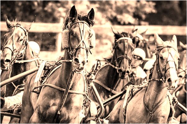 夢見修理舊桌子是什麼預兆_周公解夢官網