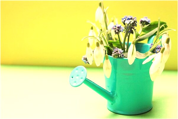 夢見自己堵住溝里漏水處是凶兆還是吉兆_周公解夢官網