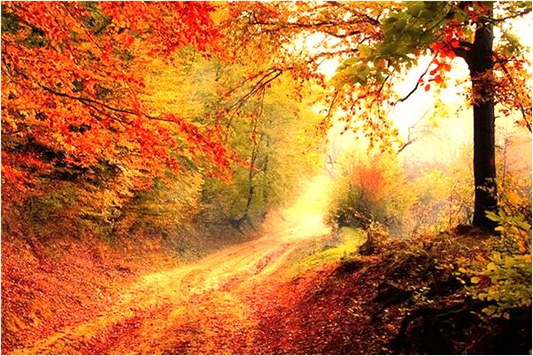 夢到小女孩跟著有什麼意思嗎_周公解夢官網