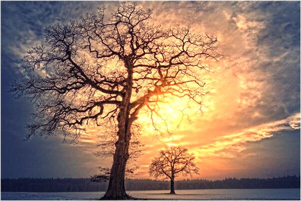 夢見殺了三個警察是凶兆還是吉兆_周公解夢官網