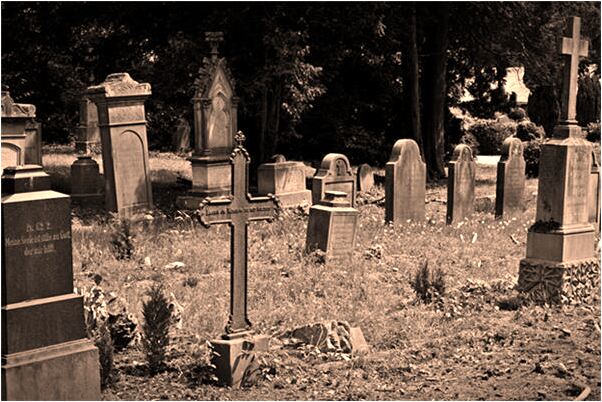 夢見十個鴨蛋是什麼預兆？_周公解夢官網