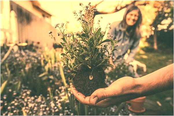 夢到好多魚上鉤會怎么樣_周公解夢官網