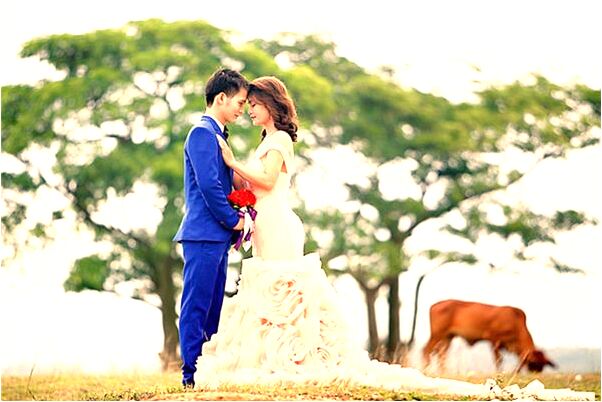 夢到有人搶自己老婆是咋回事_周公解夢官網