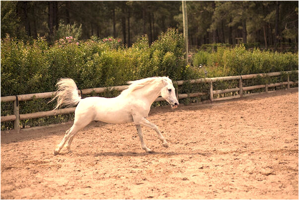 夢見把自己的愛車給賣掉了會怎么樣_周公解夢官網
