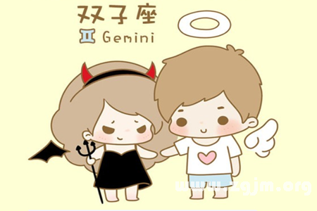 Gemini han edition rabbit baby _ the zodiac